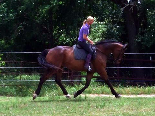 Ricky Ricardo Sponsor Our Horses