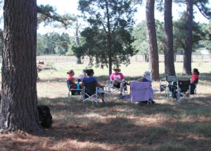 Circle under the pines during a Horse Power program