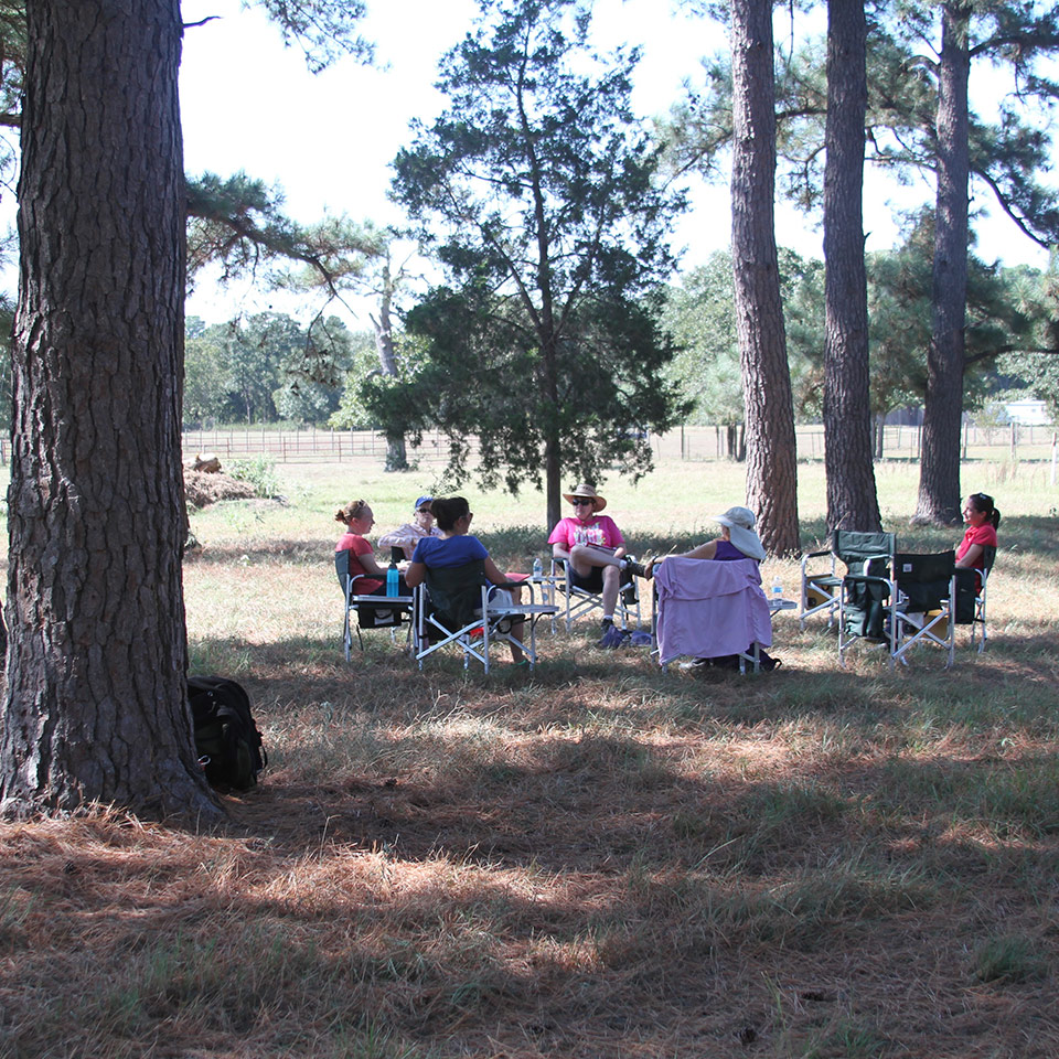 Circle under the pines during a Horse Power program