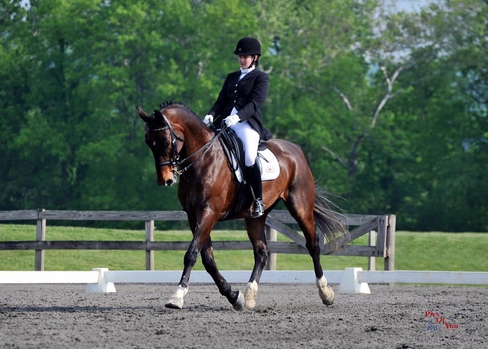 TL! Sponsor Our Horses